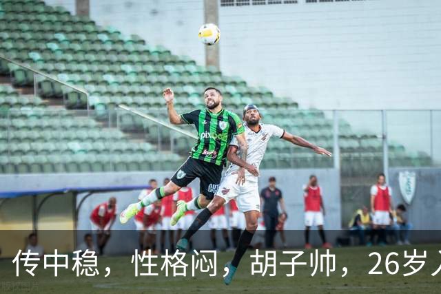 传中稳，性格闷，胡子帅，26岁入选意大利国家队，34岁踢意乙