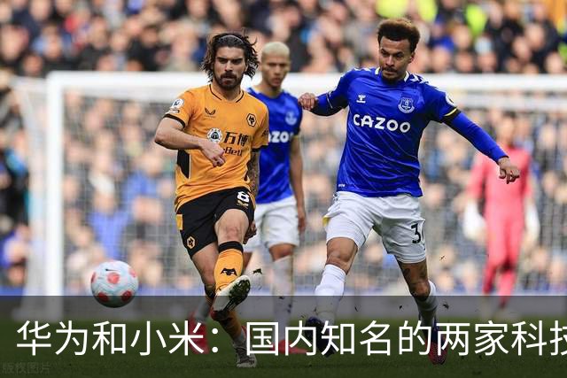 华为和小米：国内知名的两家科技公司，从产品端到粉丝端，良性竞争演变为对立攻击，互联网时代的超级饭圈文化（上）