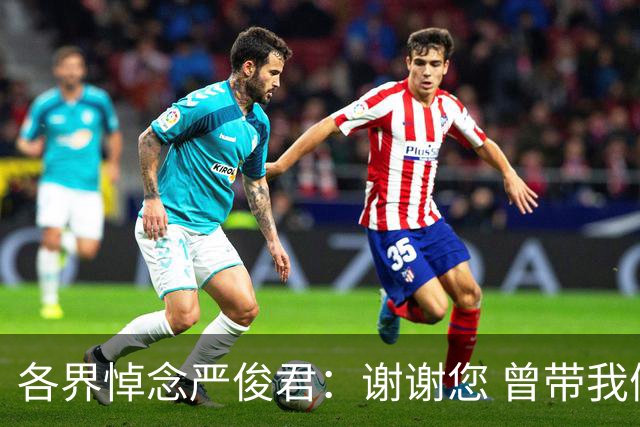 各界悼念严俊君：谢谢您 曾带我们“看世界”