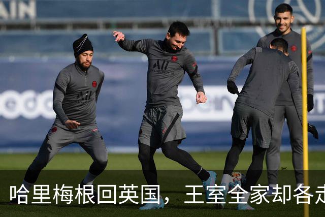 哈里梅根回英国，王室全家却各走各路！兄弟和解无望？