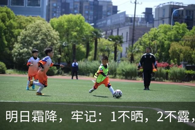 明日霜降，牢记：1不晒，2不露，3不碰，4要吃，安康纳福，润燥防寒过深秋，为入冬做准备