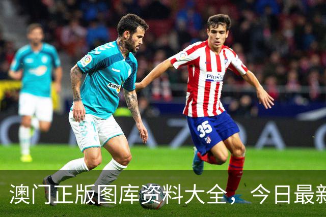 澳门正版图库资料大全，今日最新四九图库马会真传澳门跑狗四不像资料大全2026年新六合彩生肖码图