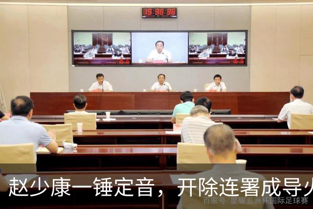 赵少康一锤定音，开除连署成导火索，郑丽文坐不住，谁在踢球？