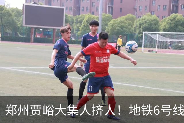 郑州贾峪大集人挤人！地铁6号线直达，中老年坐着就能逛集，排队烧饼和大锅台太上头了