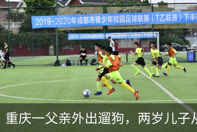 重庆一父亲外出遛狗，两岁儿子从家中坠亡，最新进展：孩子父亲怕妻子轻生事后装防护网，澄清“对狗更好，回家先抱狗”
