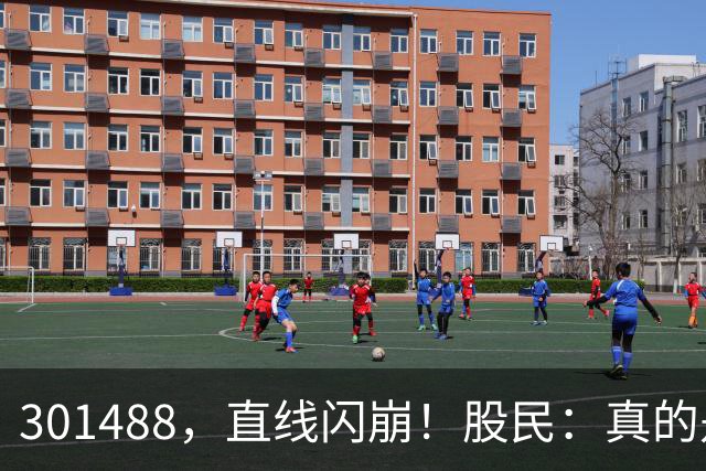 301488，直线闪崩！股民：真的是奇观