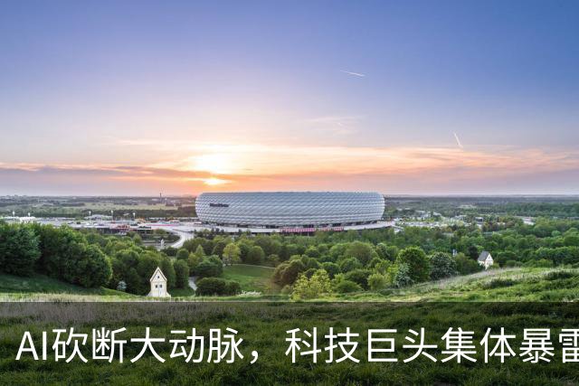 AI砍断大动脉，科技巨头集体暴雷！